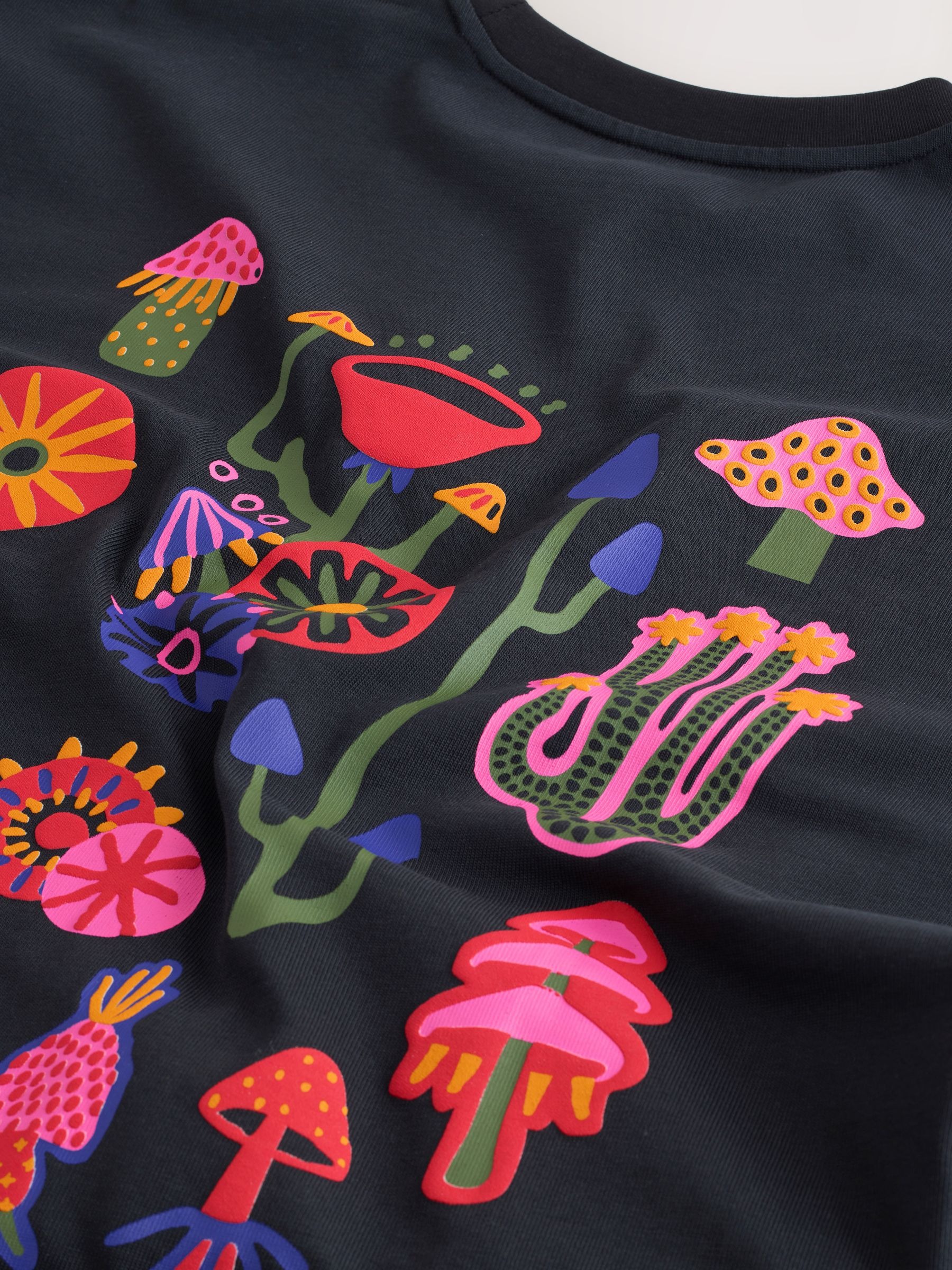 Next x Amanda Lobos - 2026