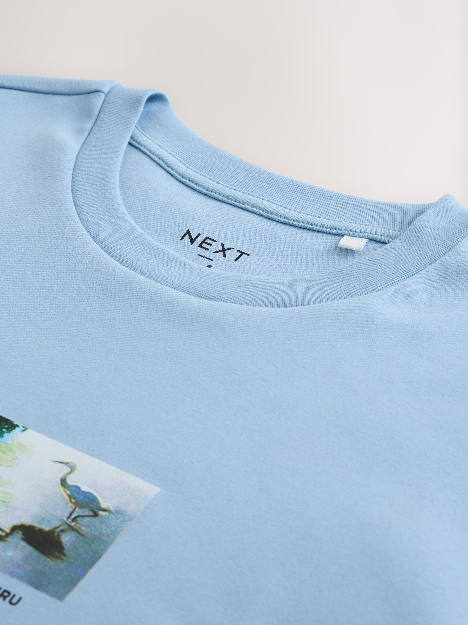 Paul Jackson x Next - 2026