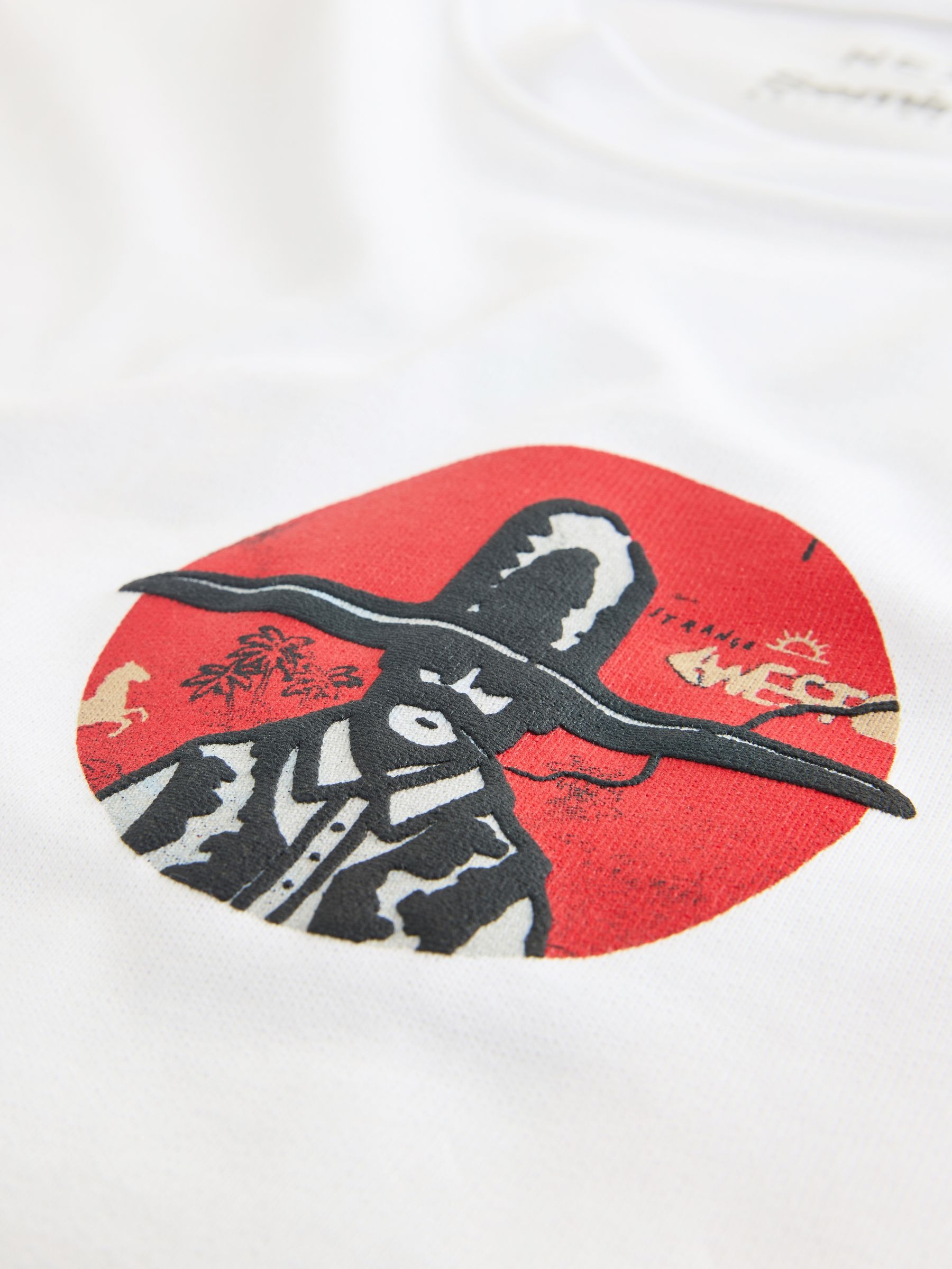 Saint No x Next - 2026